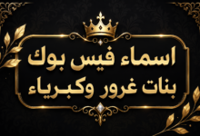 اسماء فيس بوك بنات غرور وكبرياء